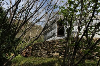 Photo n° 17 de la location