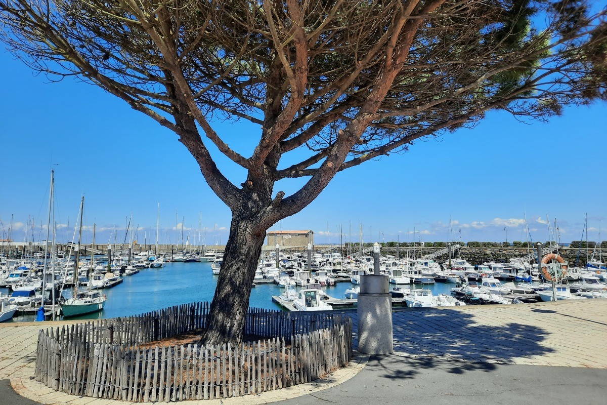 Le port de l'Herbaudière à 300 mètres