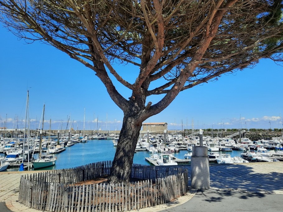Le port de l'Herbaudière à 300 mètres