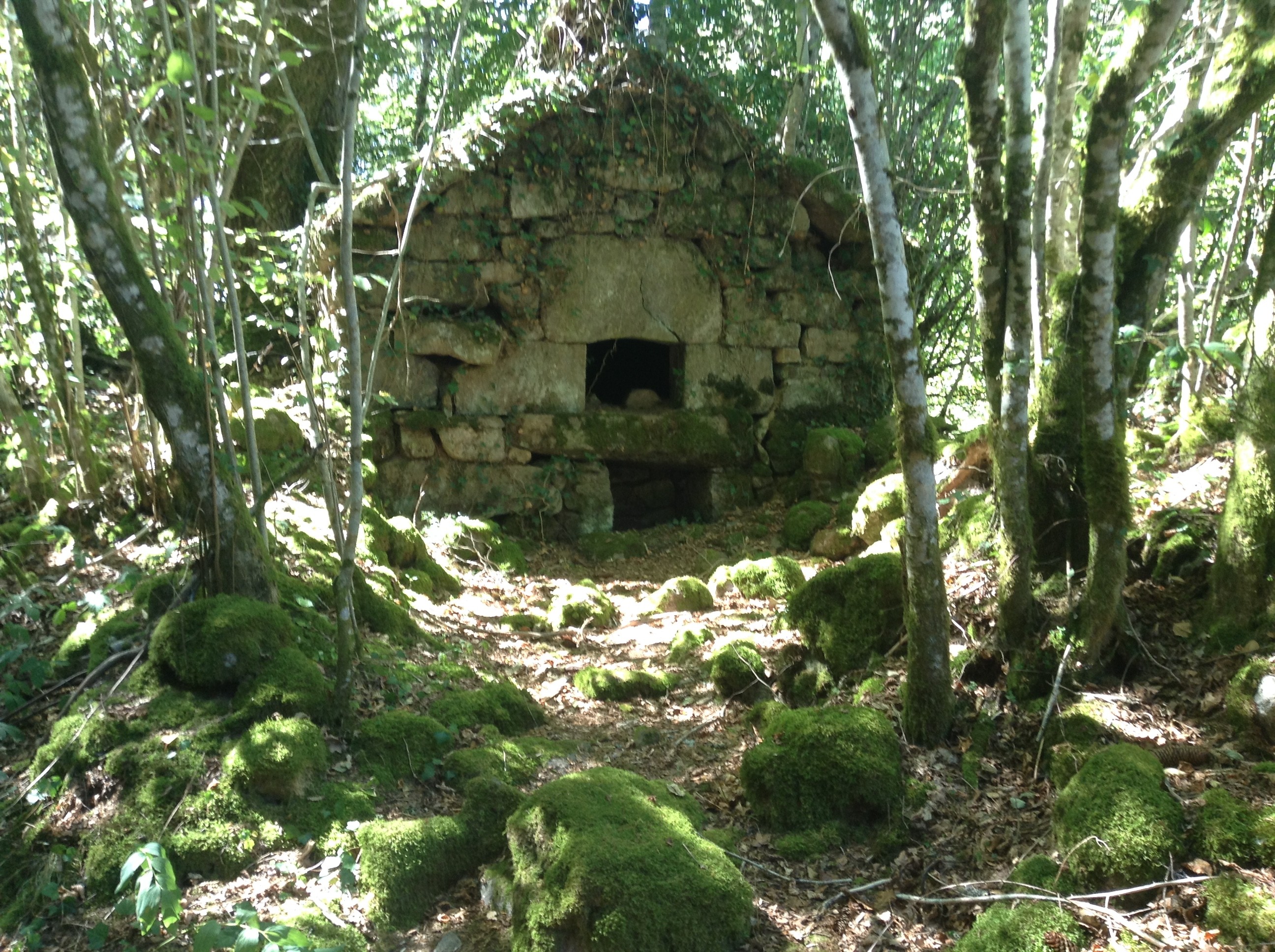 Photo n° 20 de la location