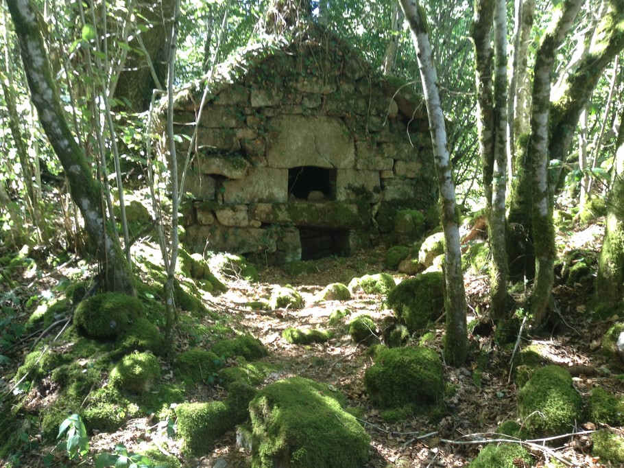 Photo n° 20 de la location