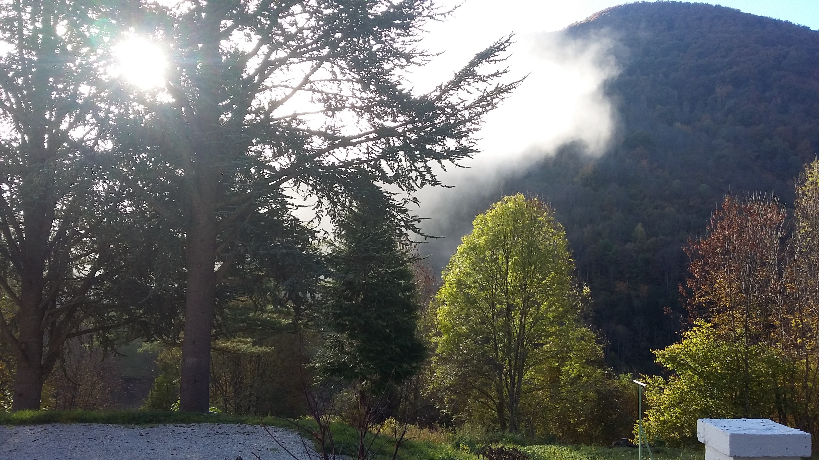 Vue sur le champ devant la maison
