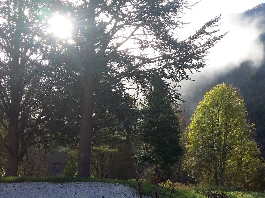 Vue sur le champ devant la maison