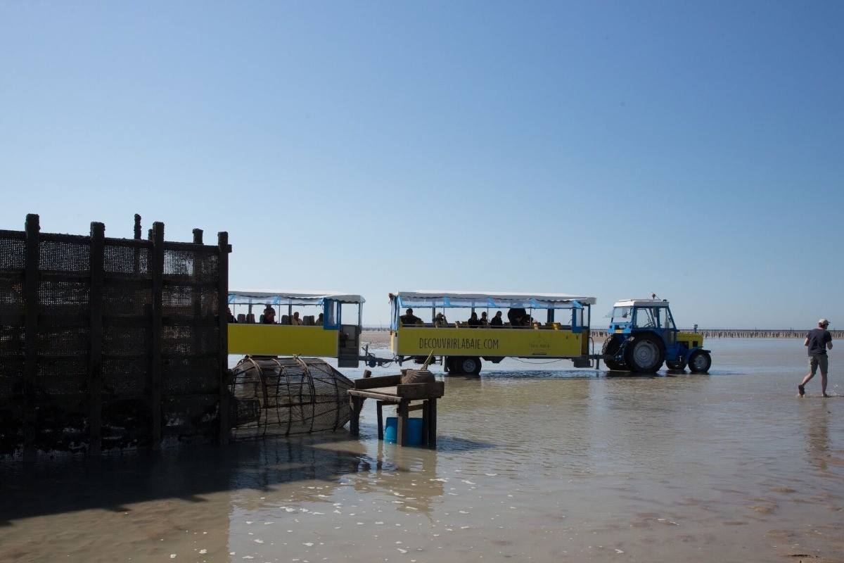 Visite des pêcheries en petit train marin