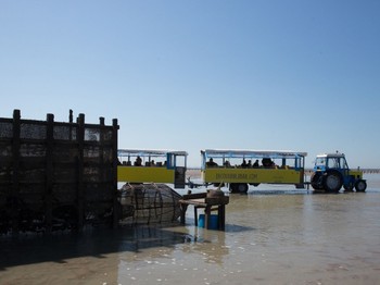 Visite des pêcheries en petit train marin
