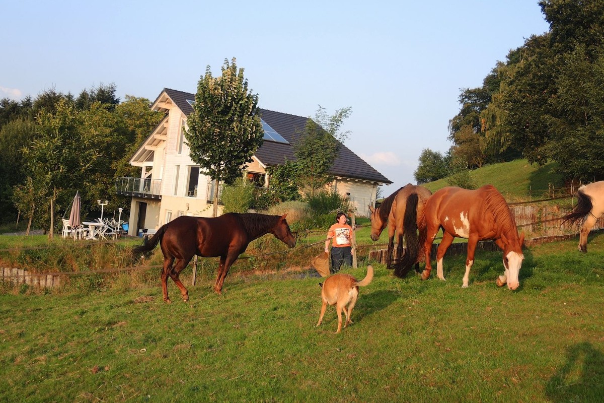 Photo n° 6 de la location