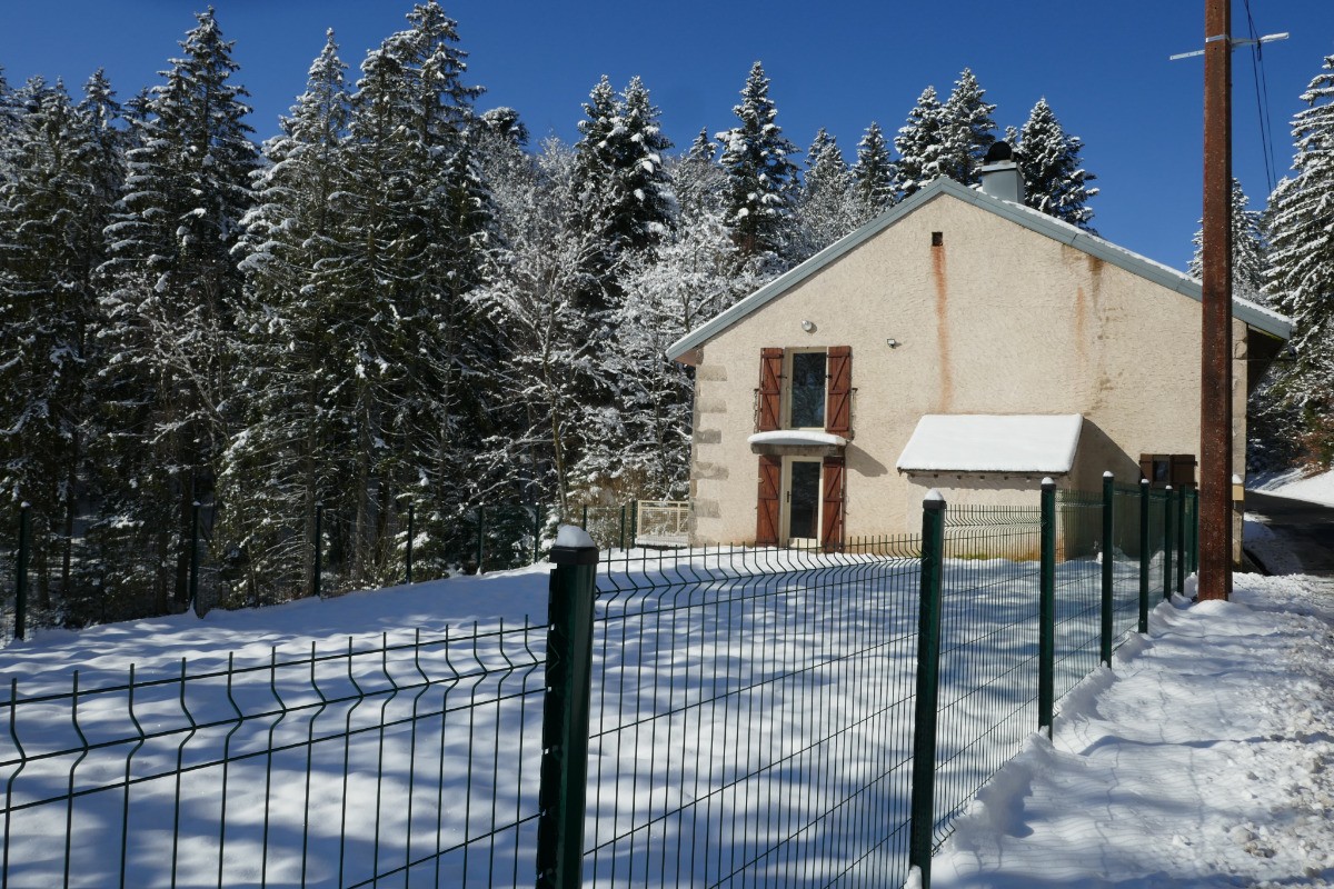 Le jardin sous la neige