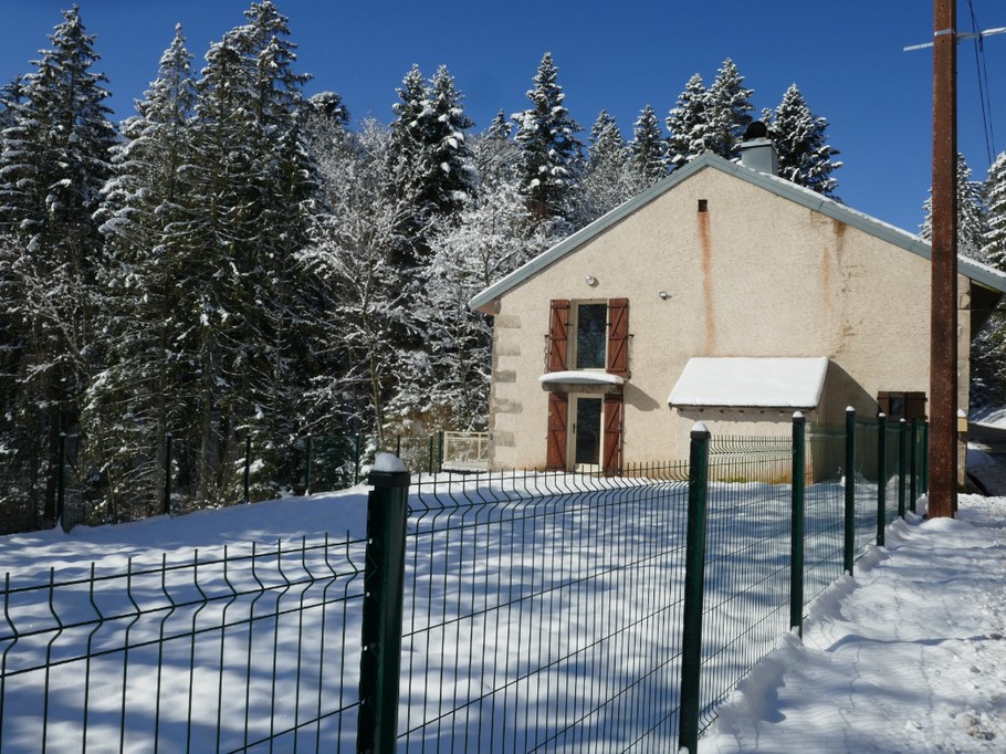 Le jardin sous la neige