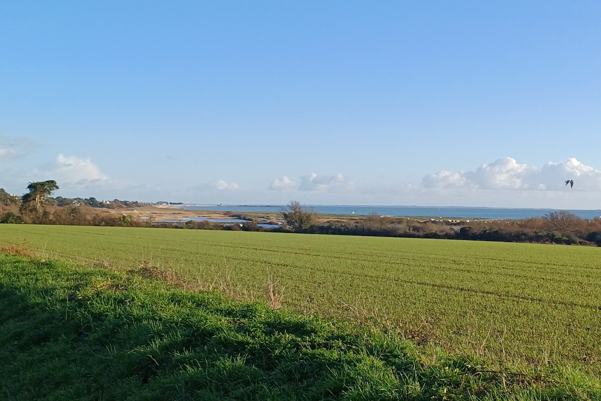 Balade à proximité du château