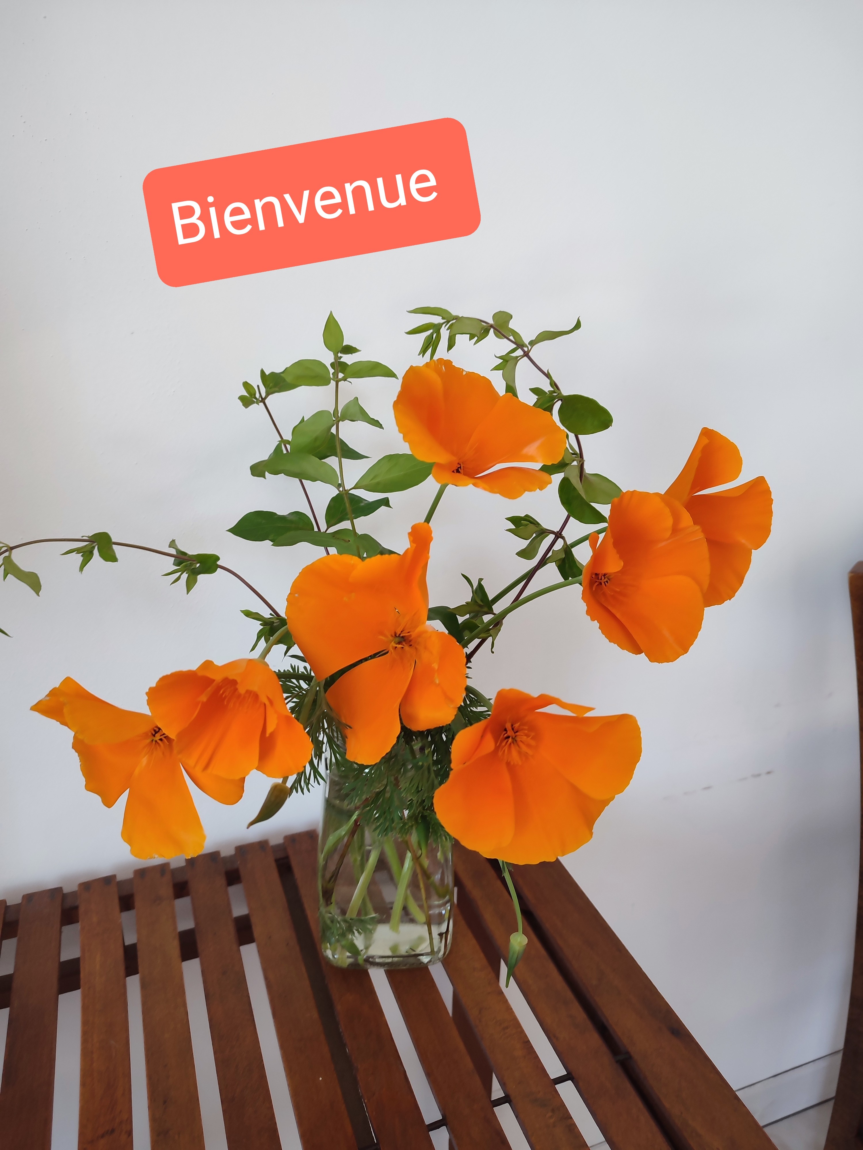 Photo n° 33 de la location