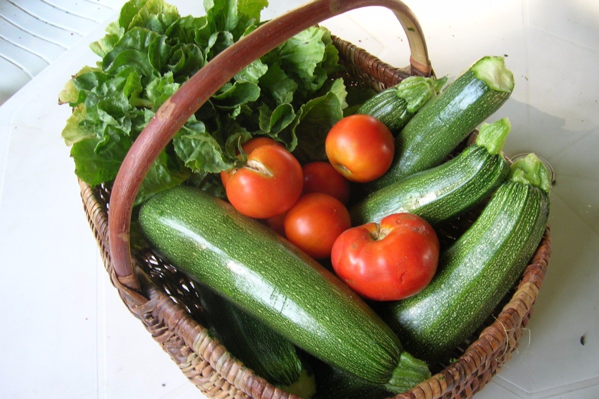 bienvenue au potager de Kerhir, legumes gratuits en saison