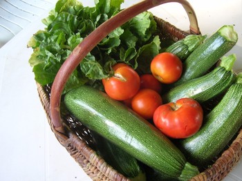 bienvenue au potager de Kerhir, legumes gratuits en saison