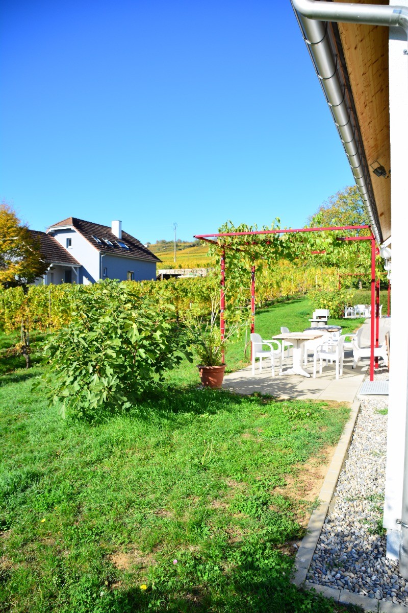 Photo n° 9 de la location