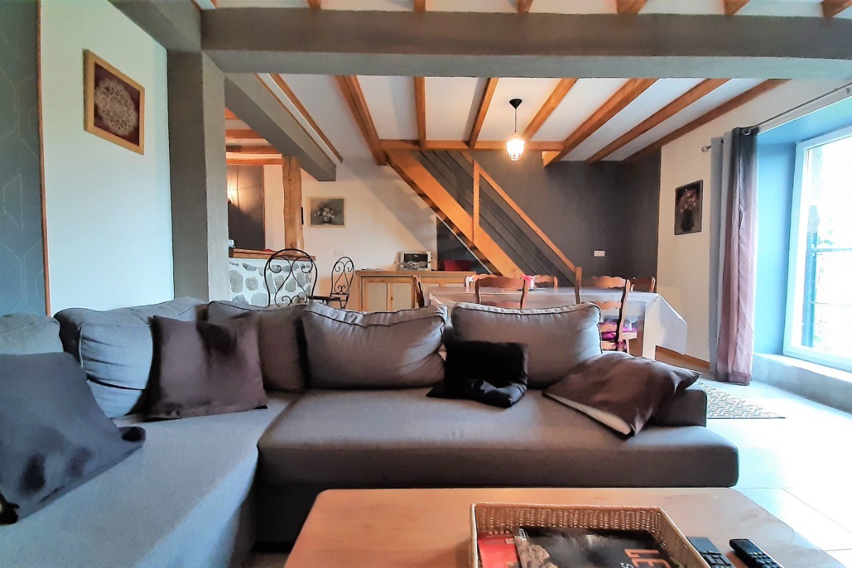 Rez-de-chaussée : Séjour-salon-salle à manger