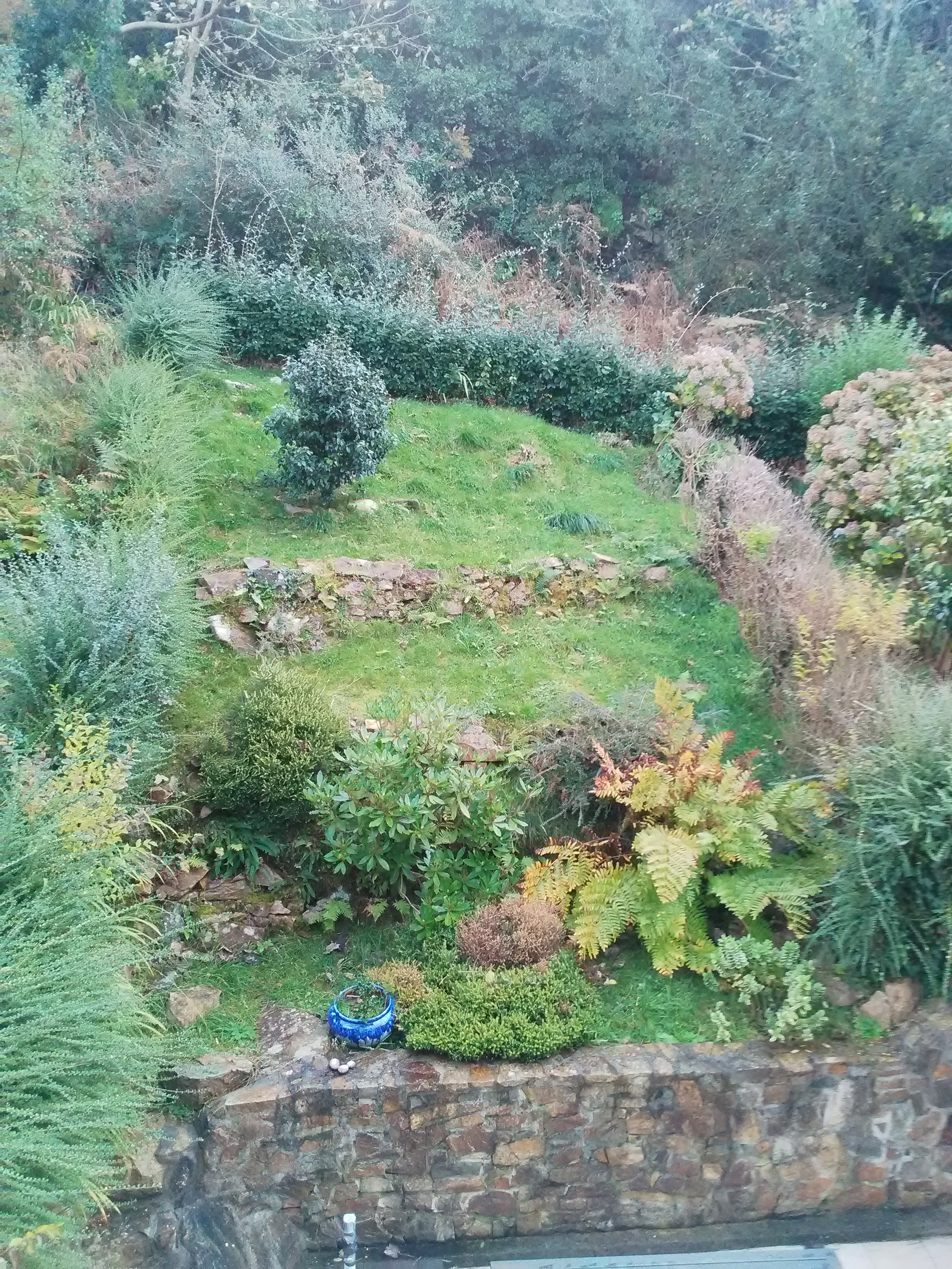 Le jardin d'agrément