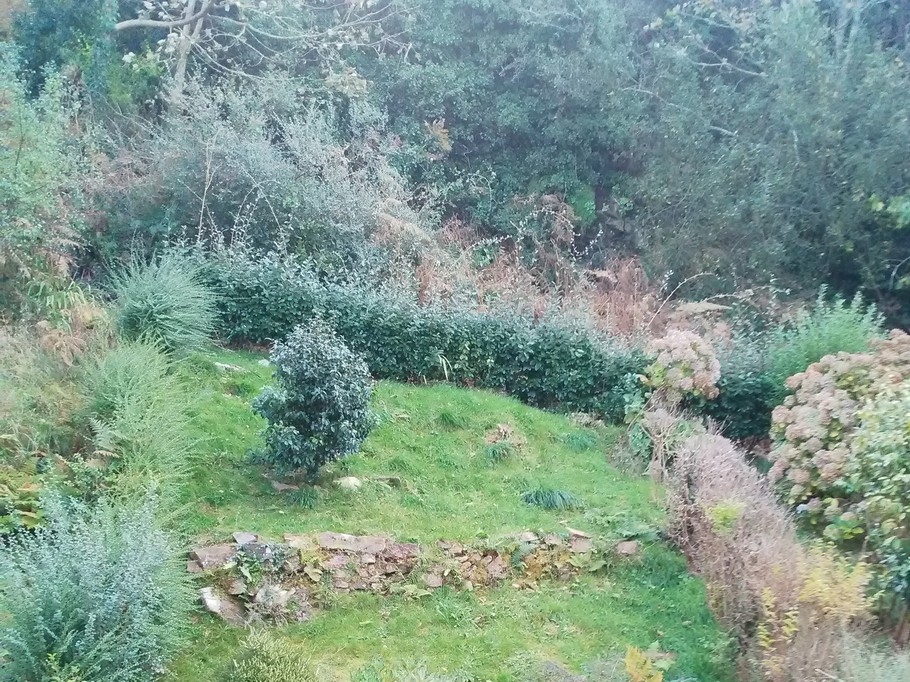 Le jardin d'agrément