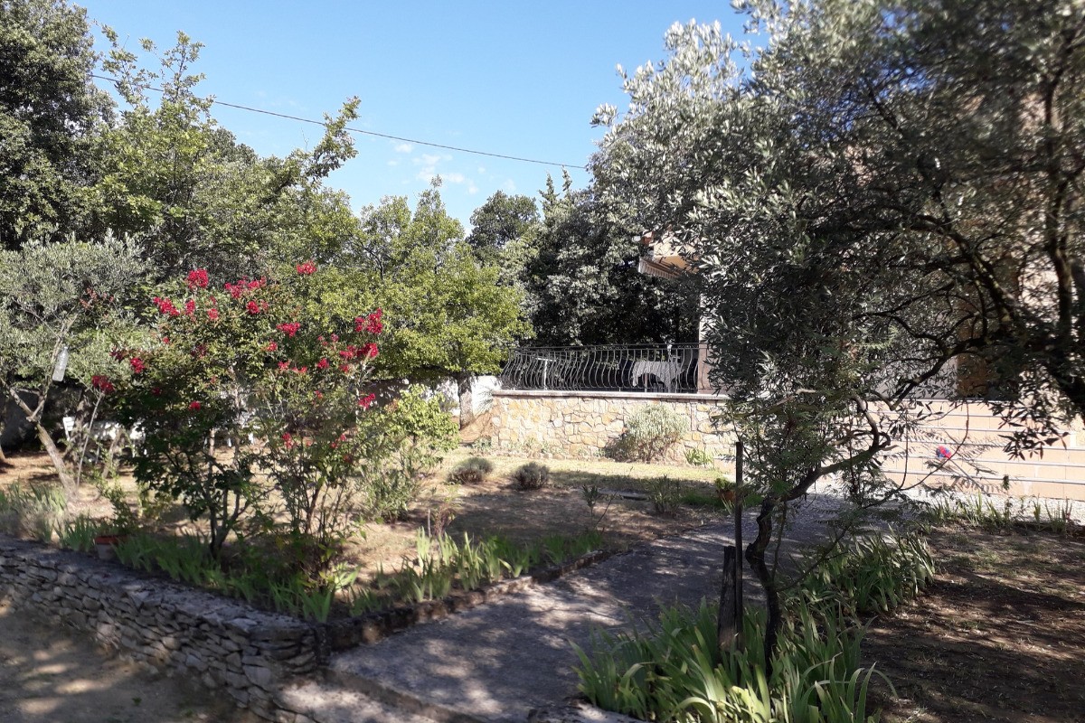 Entrée / jardin