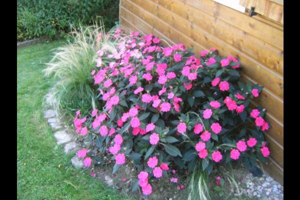 Photo n° 17 de la location