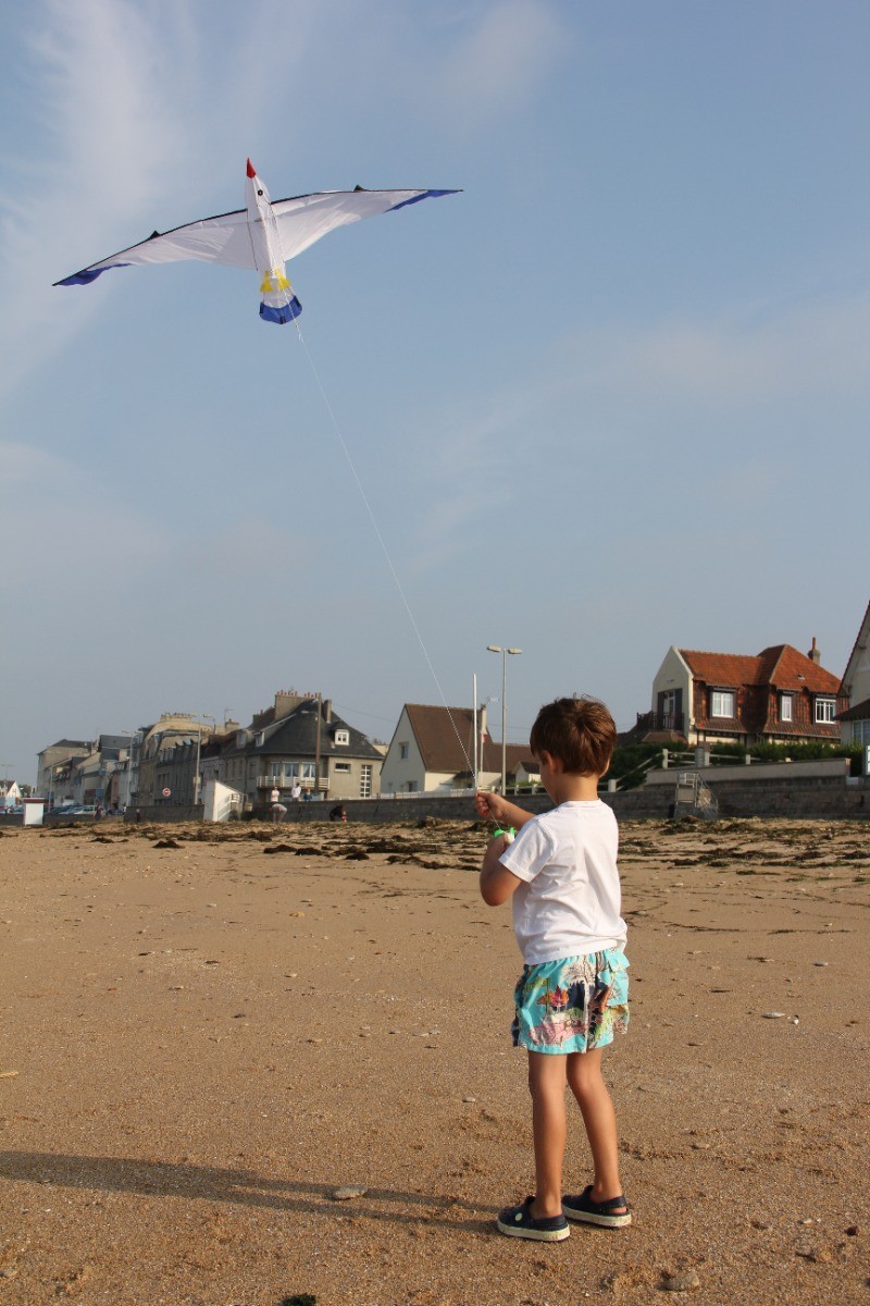 A disposition dans la cabine (elle est dans le jardin) matériel de plage : cerf-volant, filets de pêche à la crevette, boules enfants et de pétanque pour adultes, jeu de quilles nordique,petits jouets de plage, siège confortable pour grands parents.