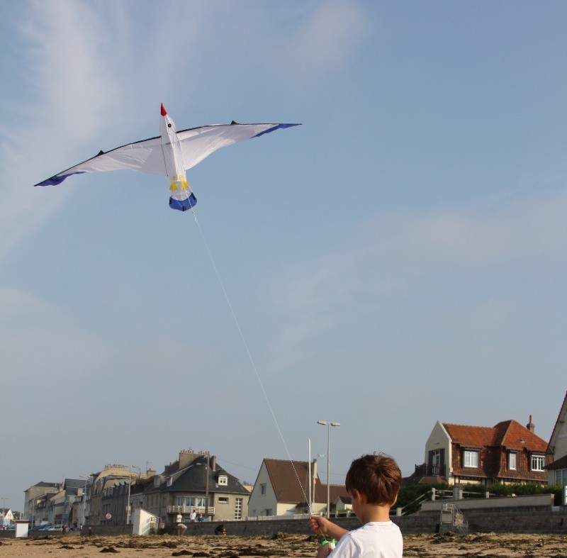 A disposition dans la cabine (elle est dans le jardin) matériel de plage : cerf-volant, filets de pêche à la crevette, boules enfants et de pétanque pour adultes, jeu de quilles nordique,petits jouets de plage, siège confortable pour grands parents.