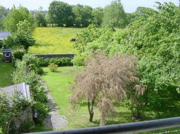 vue depuis la chambre2