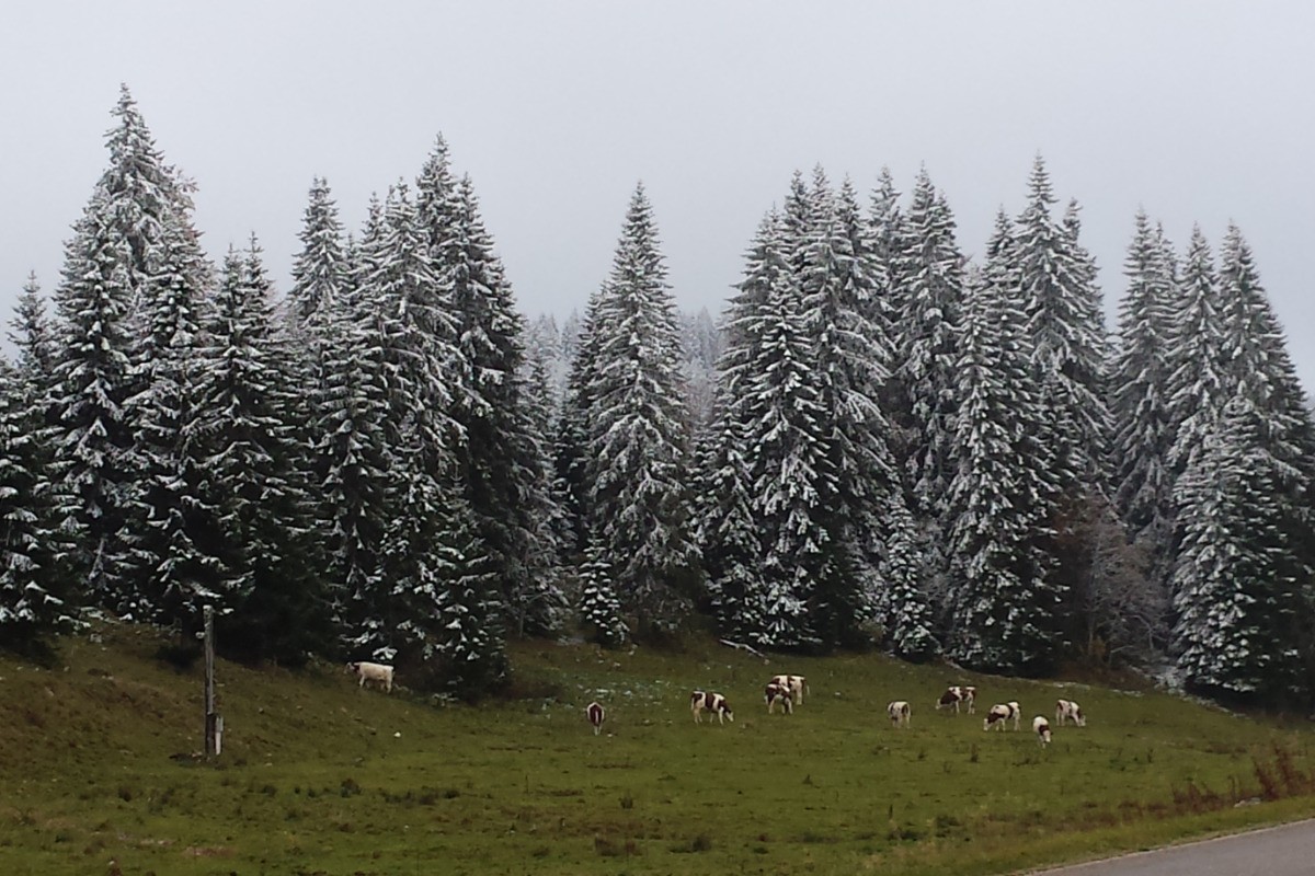 Paysage