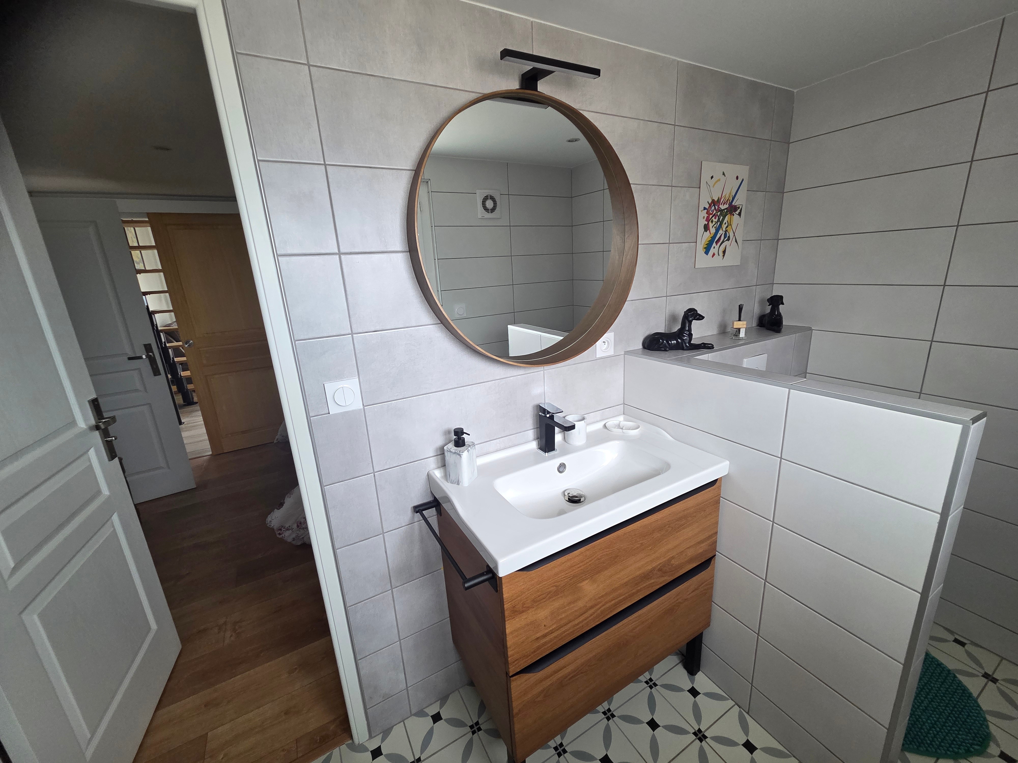 Studio Lameira, Montrond-les-bains, Loire (42) - Salle d'eau avec WC