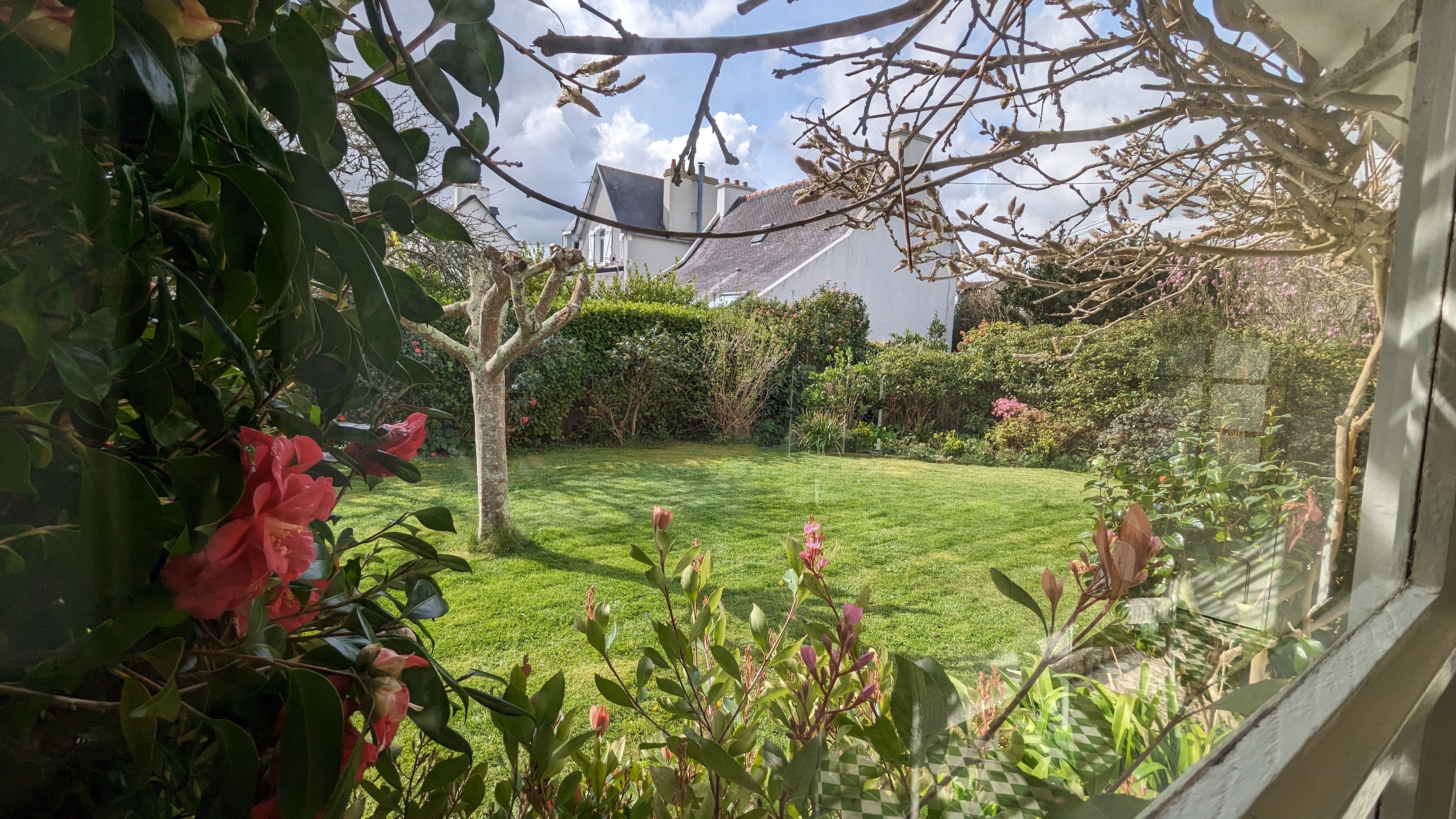 vue du jardin de la véranda