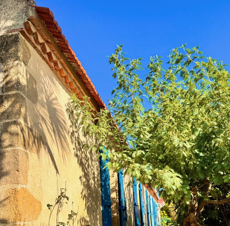 Photo n° 19 of the location