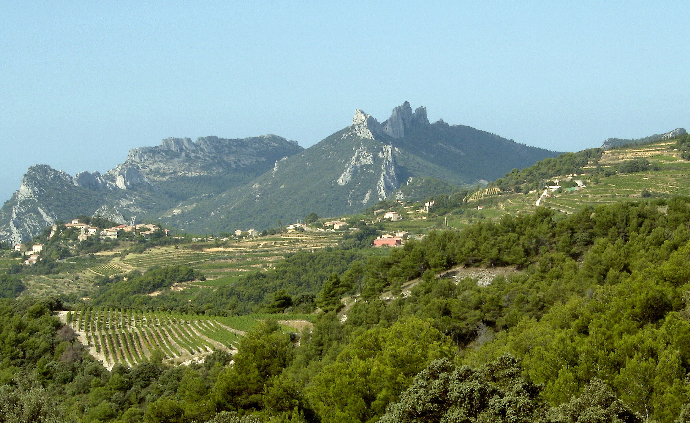 Dentelles de Montmirail