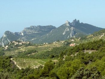 Dentelles de Montmirail