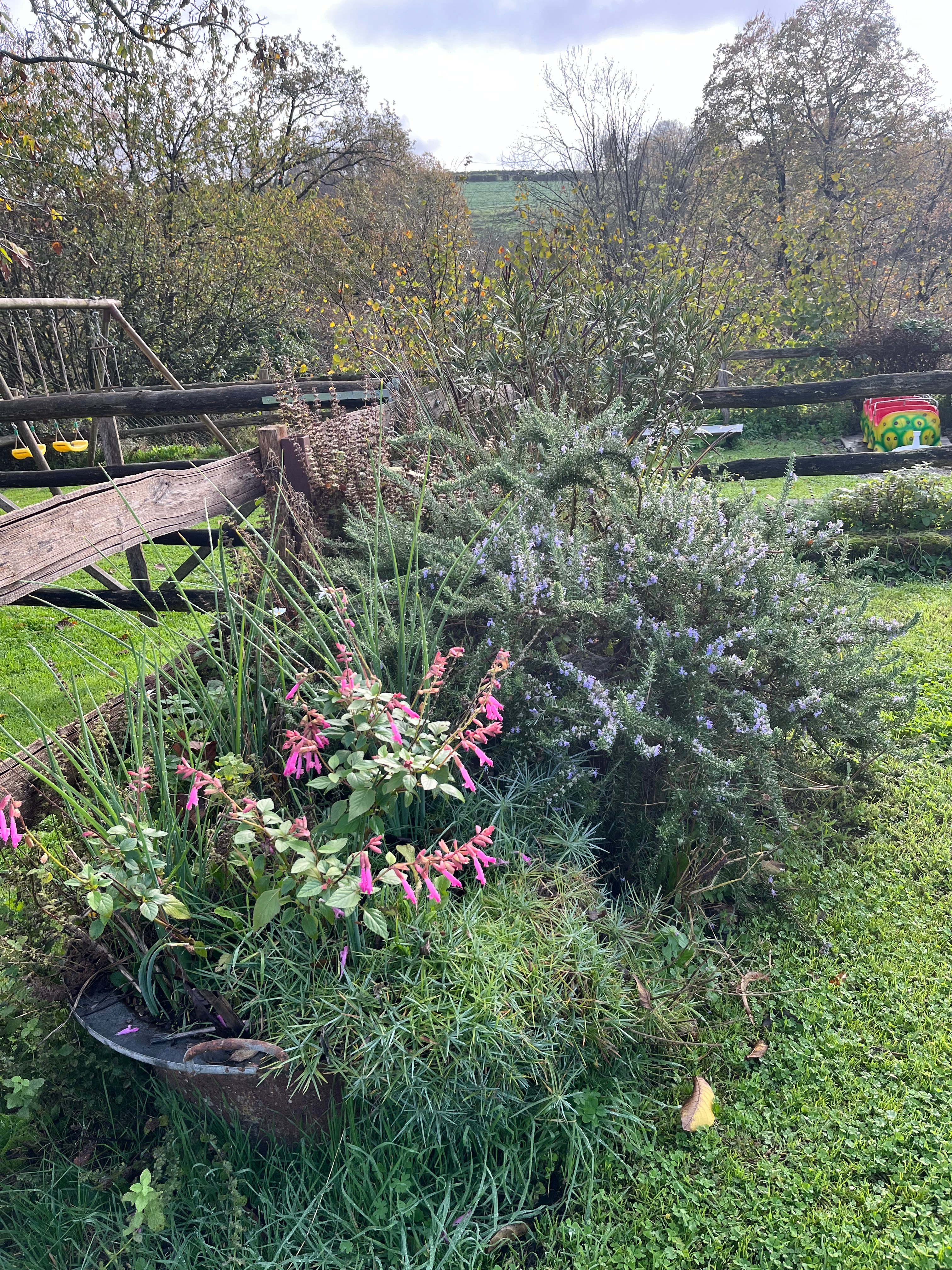 Photo n° 5 of the location