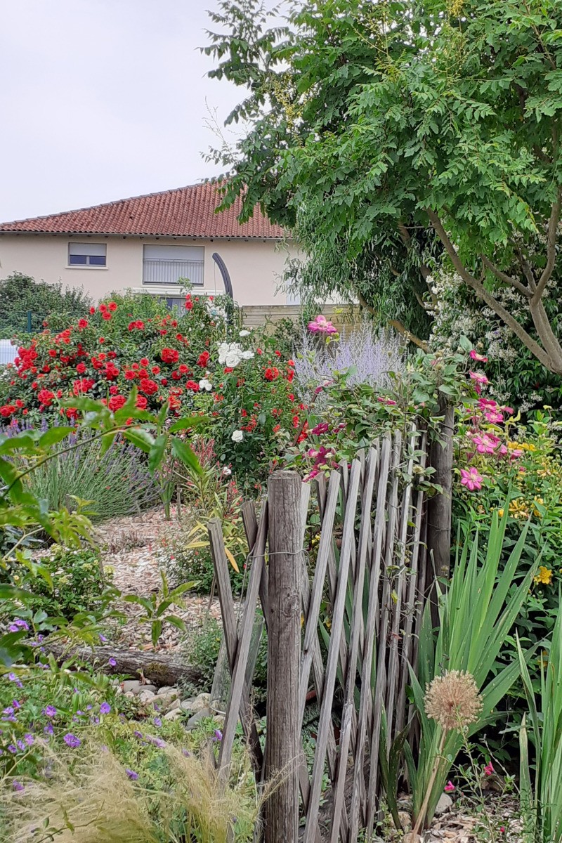 Jardin paysagé