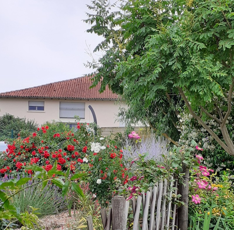 Jardin paysagé