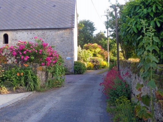 Photo n° 7 de la location