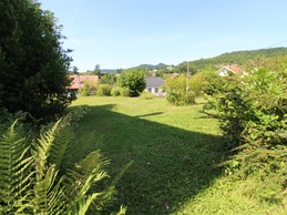 Gîte de groupe Le Clos du Sapin Bleu à Saint-Dié-des-Vosges, Nature&Convivialité