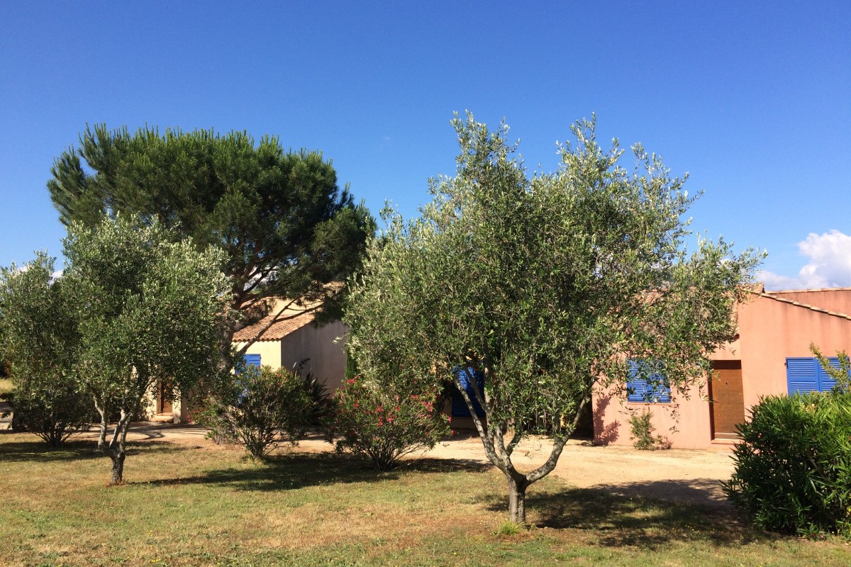 Photo n° 2 de la location
