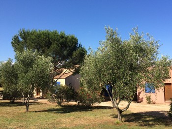 Photo n° 2 of the location
