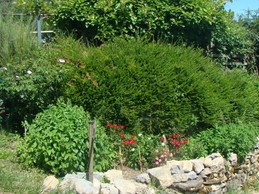 Image n° 3 de la location