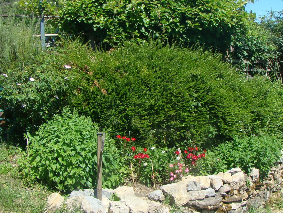 Photo n° 3 de la location