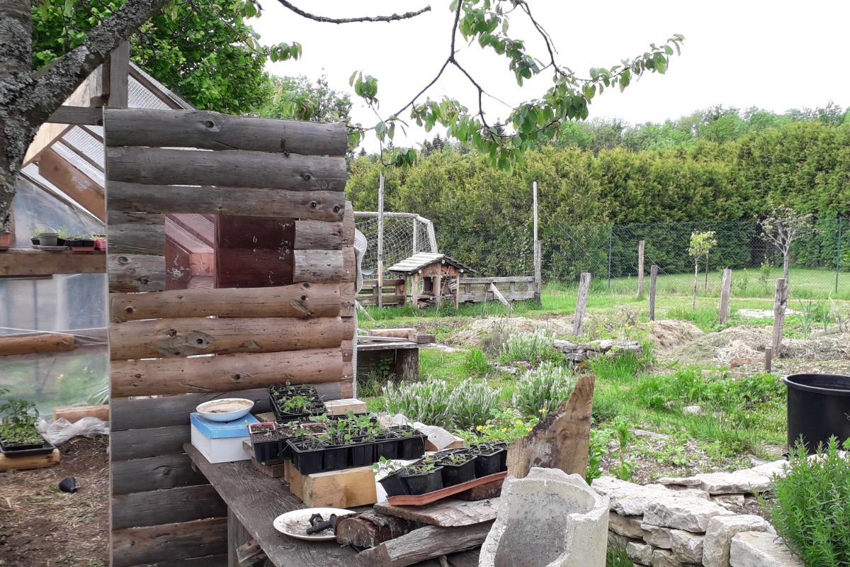 Notre potager en permaculture