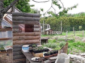 Notre potager en permaculture