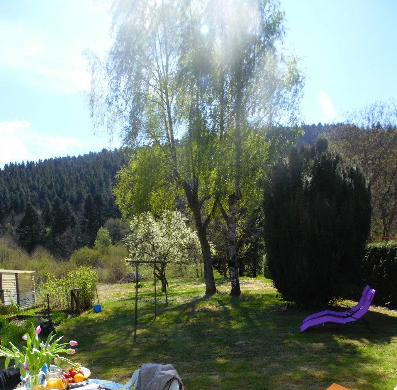 Terrain à l'arrière de la maison