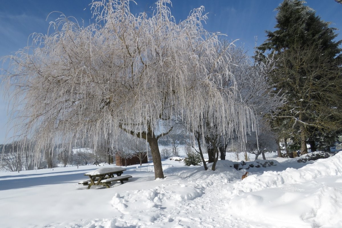 Le parc en hiver