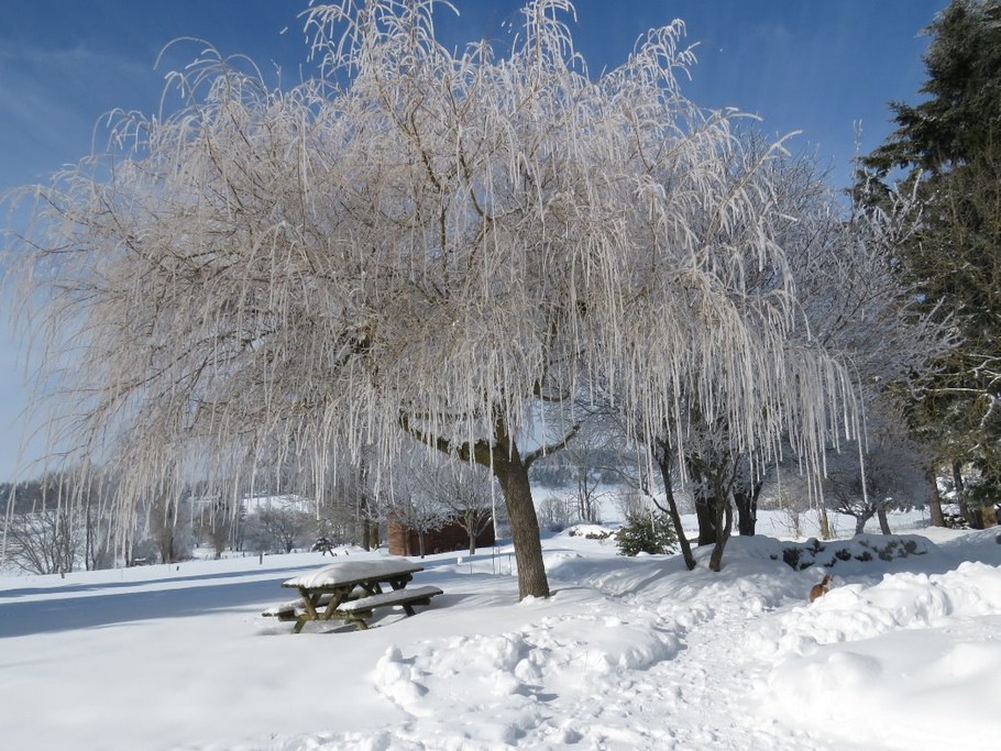 Le parc en hiver
