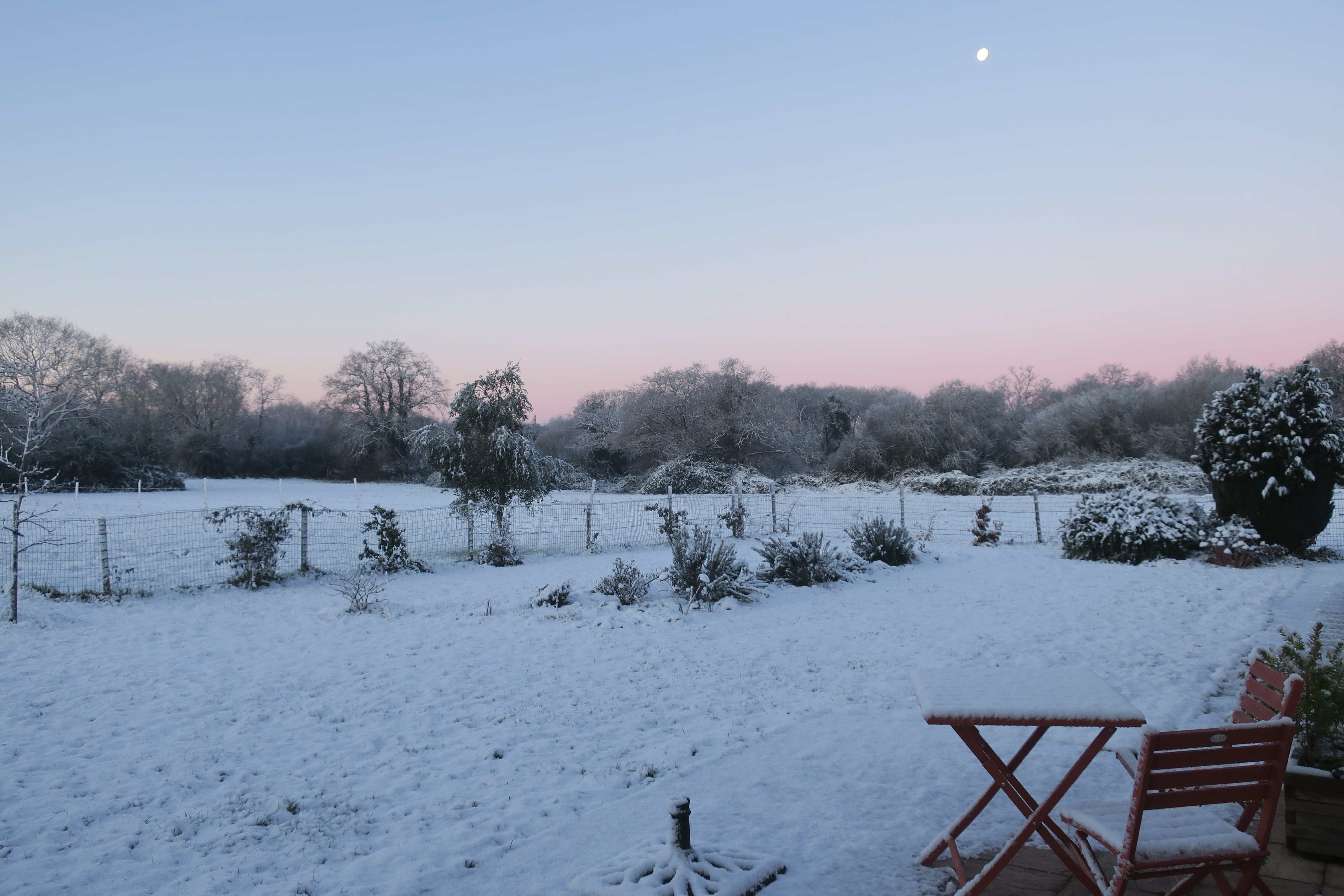 Winter view under the snow