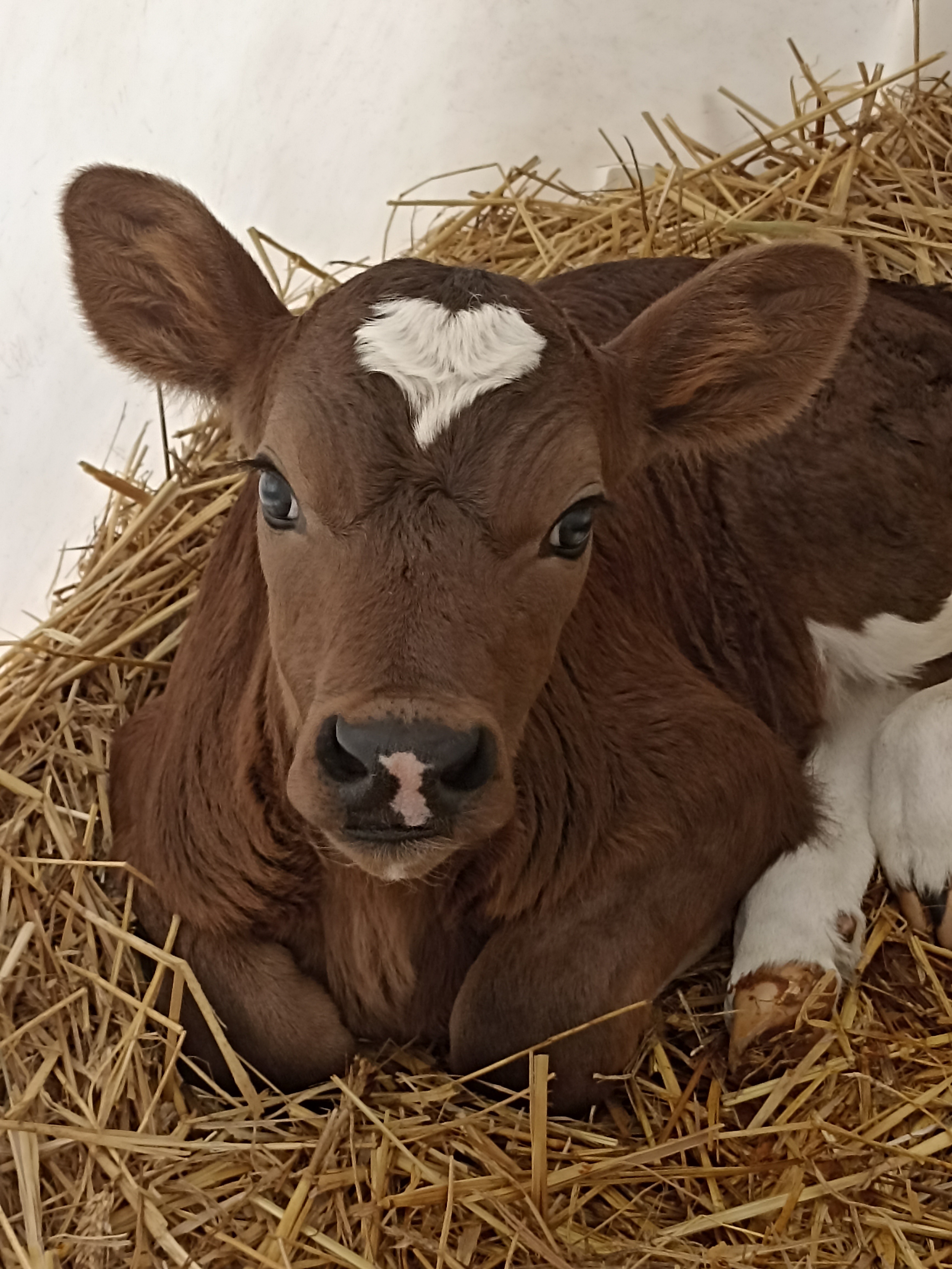 Photo n° 10 of the location