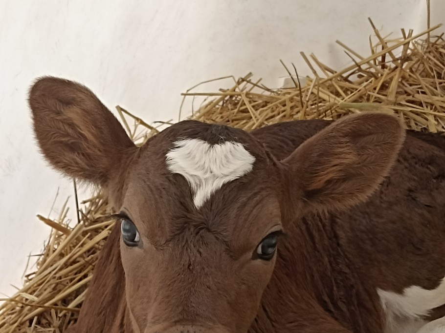 Photo n° 10 of the location