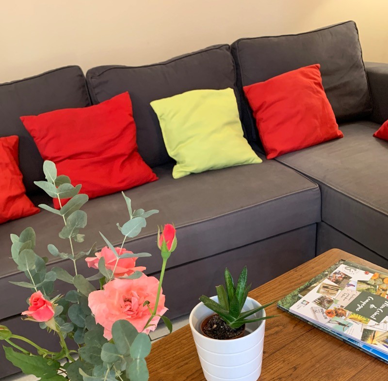 Photo n° 12 of the location