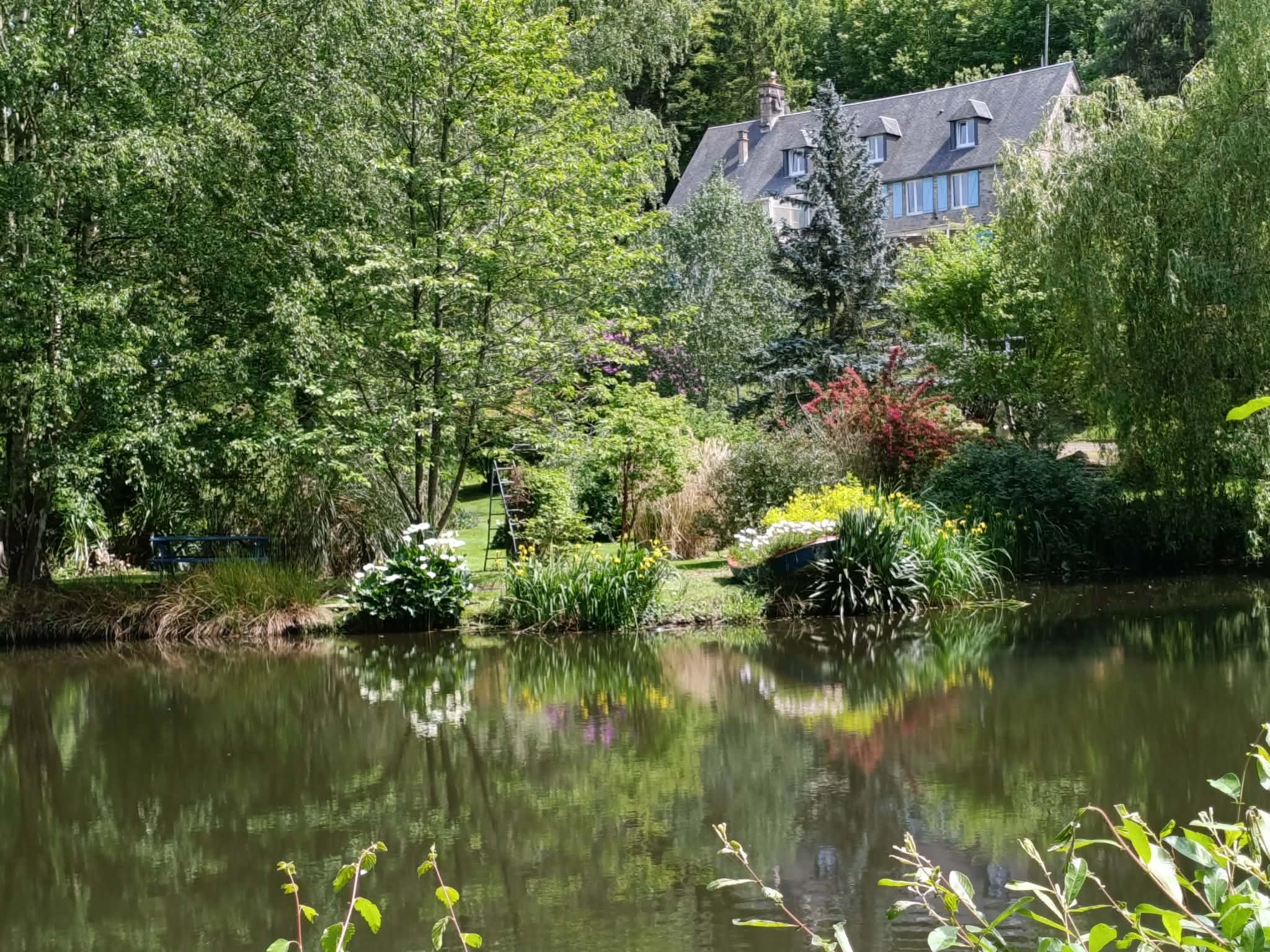 Pond